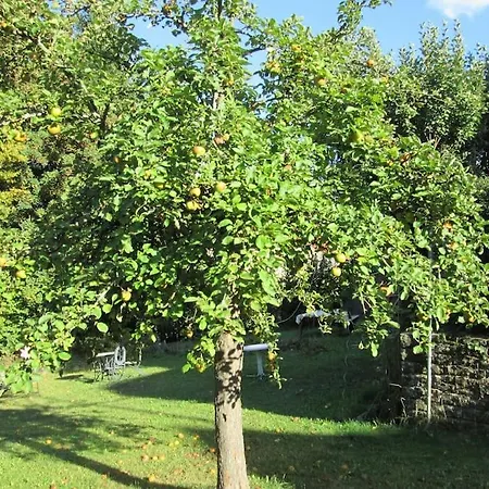 4 Km Zu A7 Und A71, Idylle Am Bach, Grosser Garten شقة *