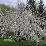 4 Km Zu A7 Und A71, Idylle Am Bach, Grosser Garten Lejlighed