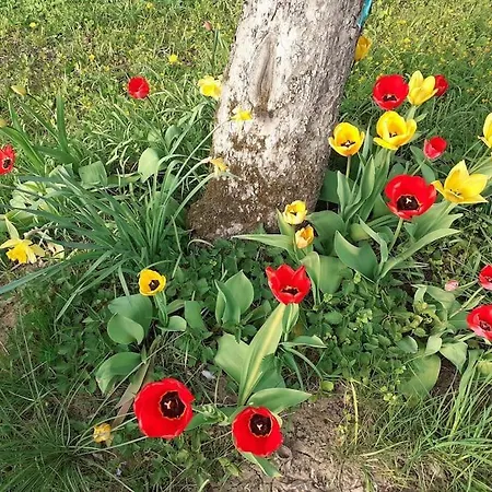 4 Km Zu A7 Und A71, Idylle Am Bach, Grosser Garten * Euerbach