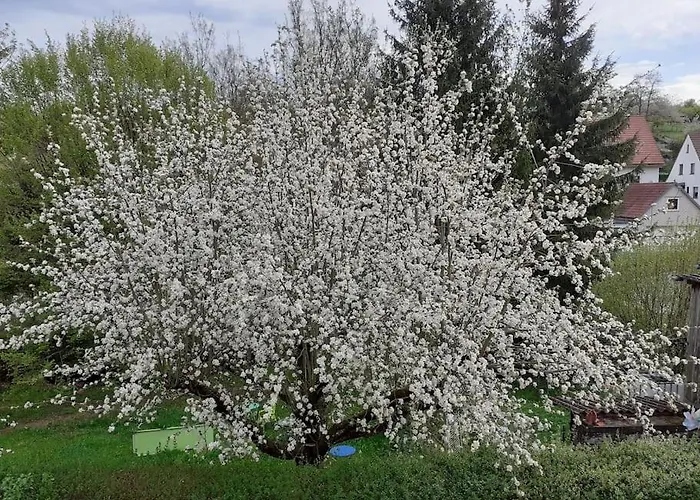 4 Km Zu A7 Und A71, Idylle Am Bach, Großer Garten Apartment
