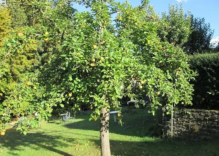 4 Km Zu A7 Und A71, Idylle Am Bach, Großer Garten Apartment *